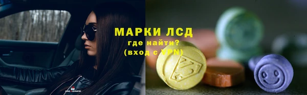 первитин Богданович