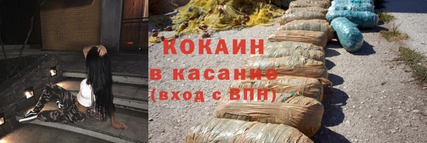 первитин Богданович