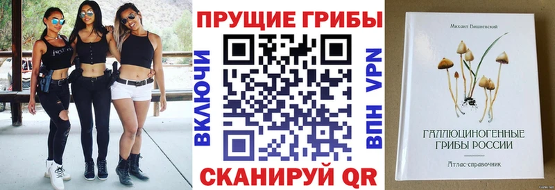 Псилоцибиновые грибы Cubensis Морозовск